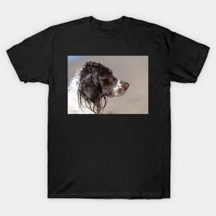 Welsh Springer Spaniel T-Shirt